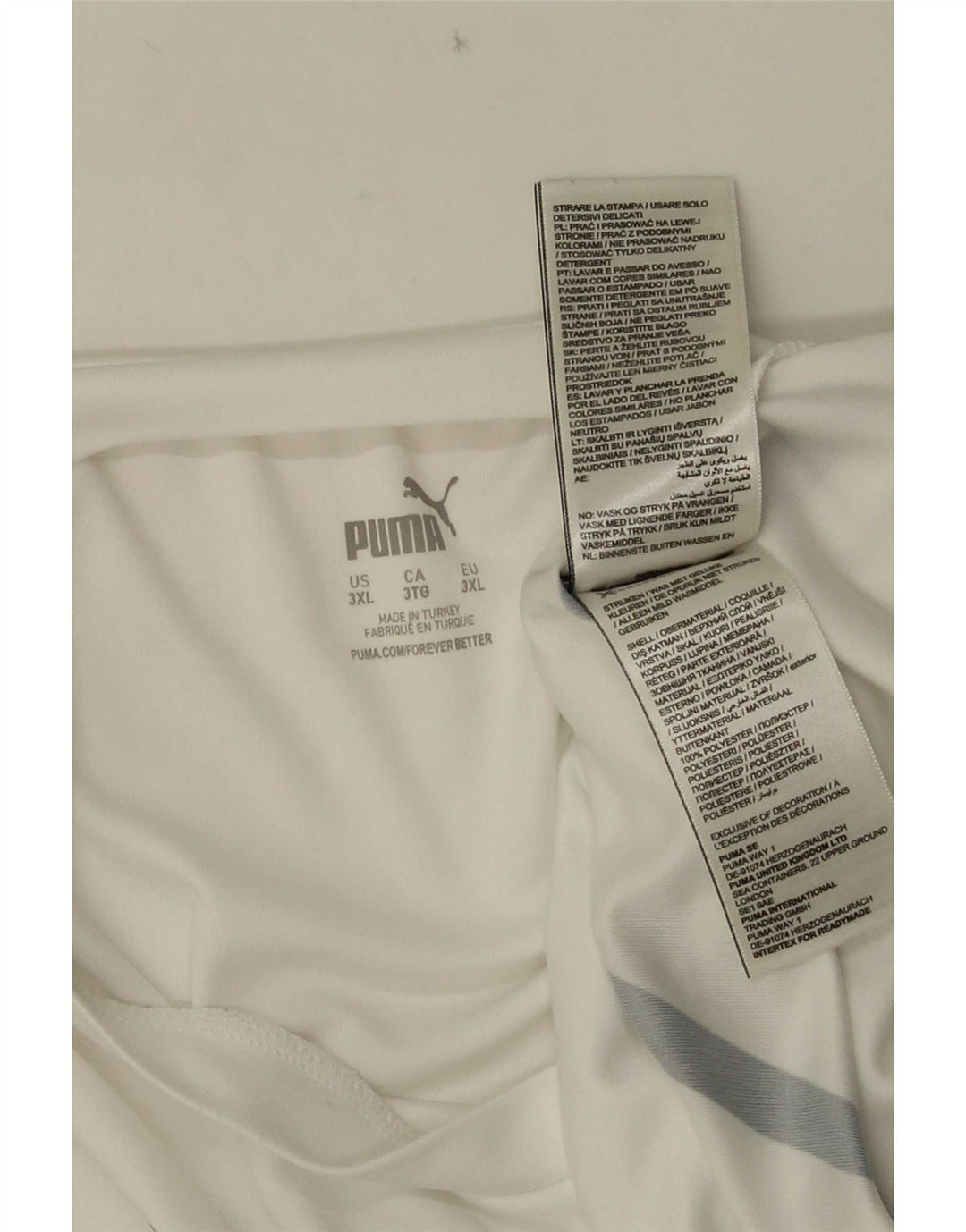 Męska koszulka Puma Deutshland z grafiką, 3XL, biały poliester