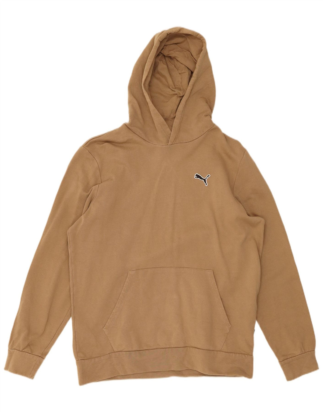 Męski sweter z kapturem PUMA, średni beż