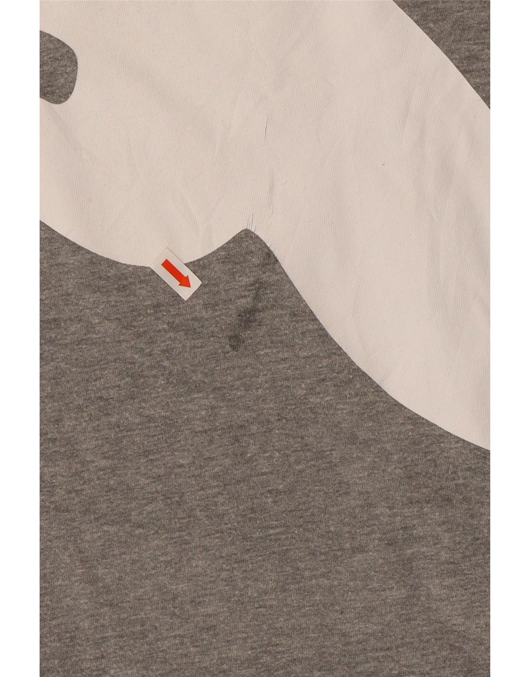 Męski T-shirt z grafiką PUMA Top 2XL Szary