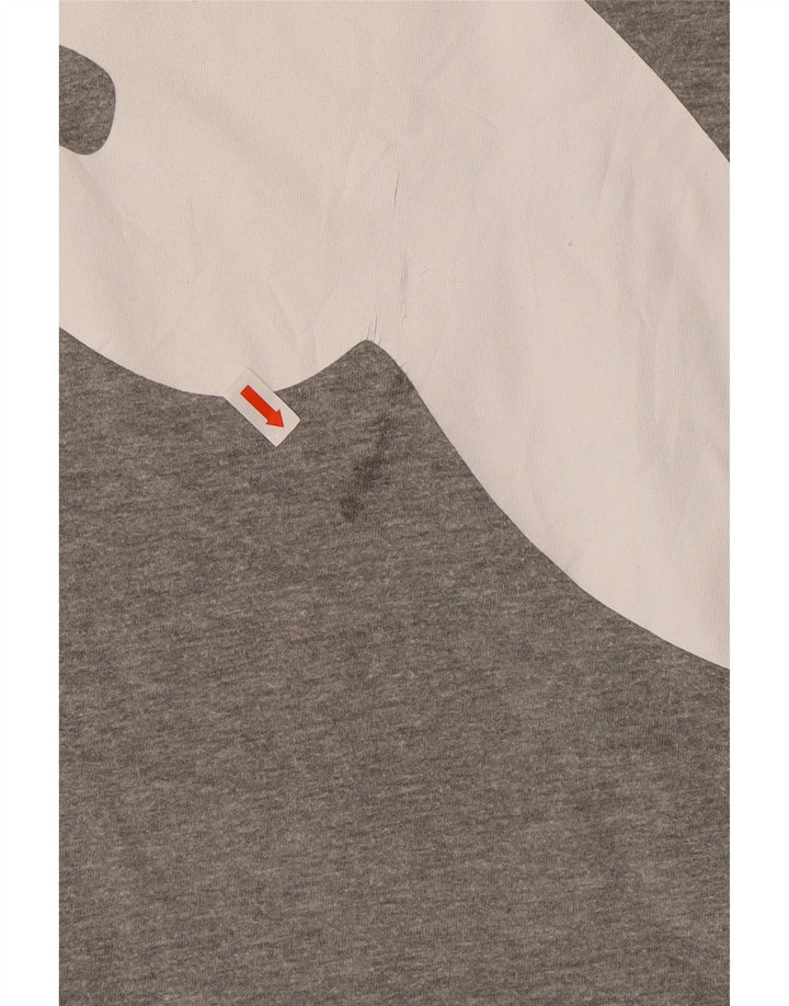 Męski T-shirt z grafiką PUMA Top 2XL Szary