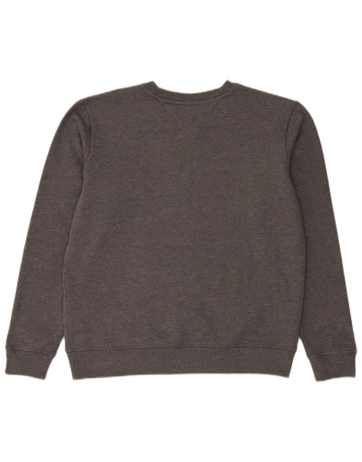 Męska bluza z grafiką Tommy Hilfiger, duża, szara, bawełniana