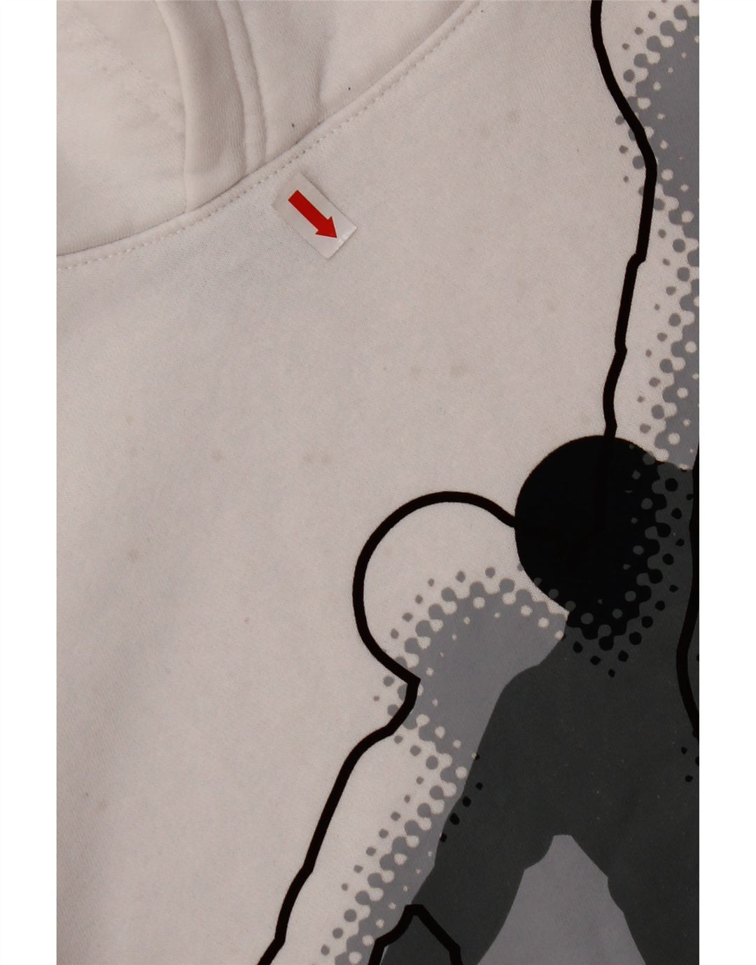 Chłopięcy sweter z kapturem JORDAN z grafiką 13-14 lat XL, biała bawełna