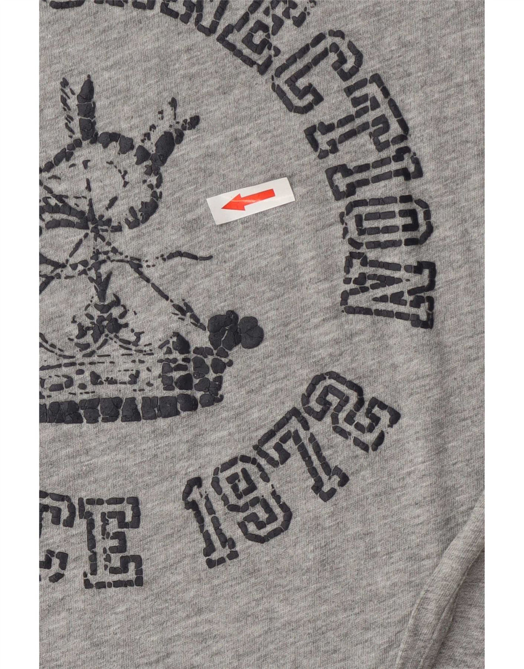 Męska koszulka z grafiką French Connection Top, średnia, szara bawełniana nakrapiana
