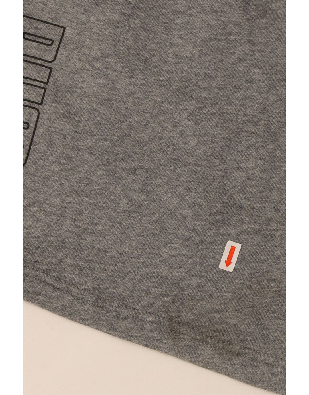 PUMA Mens Graphic Sport Shorts Large  Grey