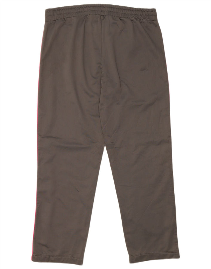 Damskie spodnie dresowe ASICS UK 18 XL, szare