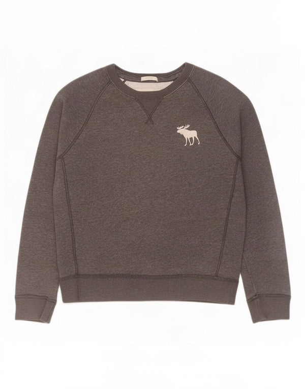 Męska bluza z kapturem Abercrombie & Fitch, duża, szara, bawełniana