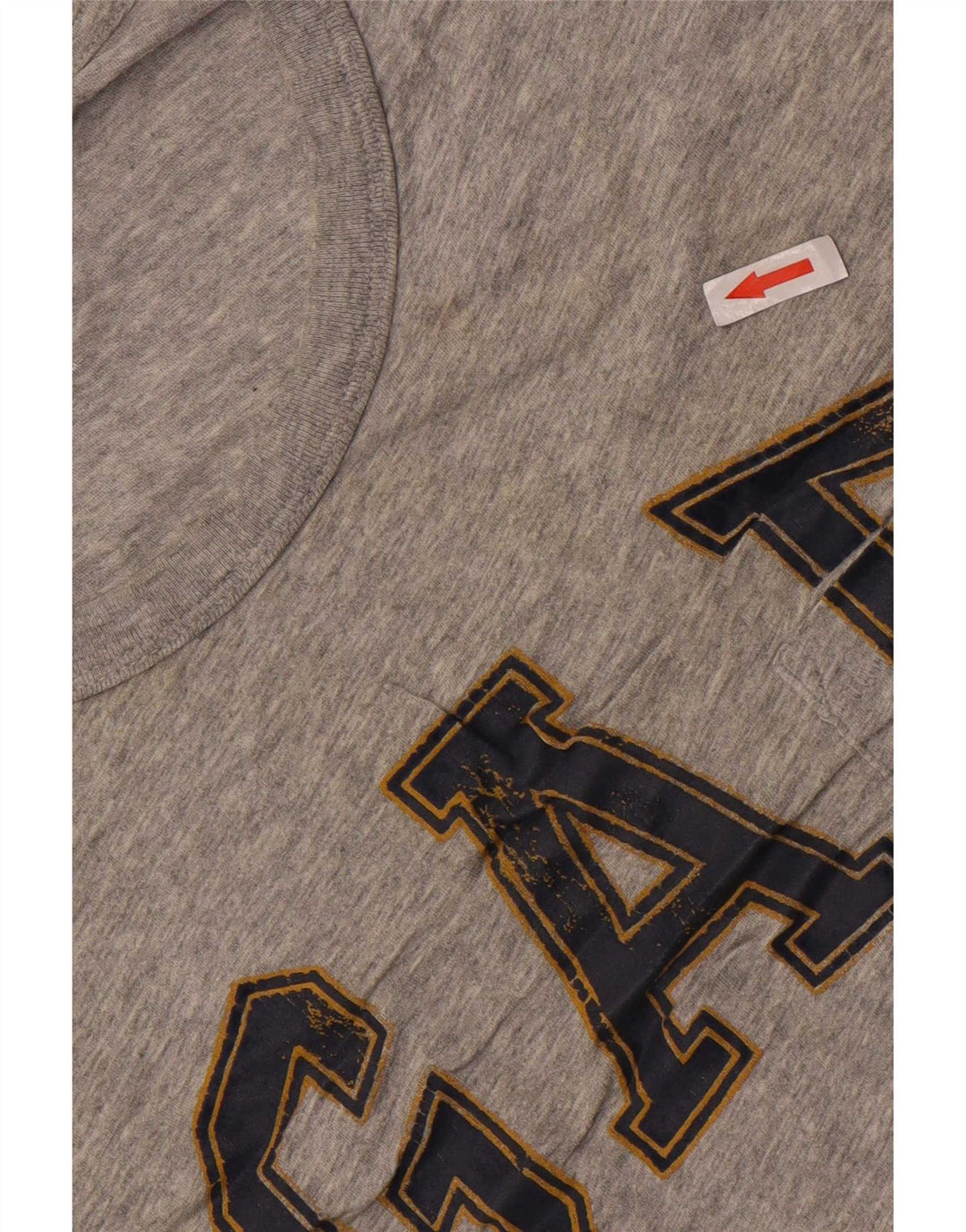 Męski T-shirt z grafiką Gap, duży, szary