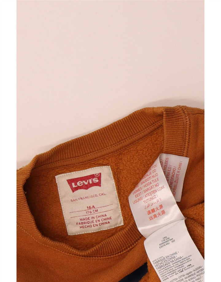 Bluza chłopięca Levi's z grafiką, 15-16 lat, brązowa bawełna