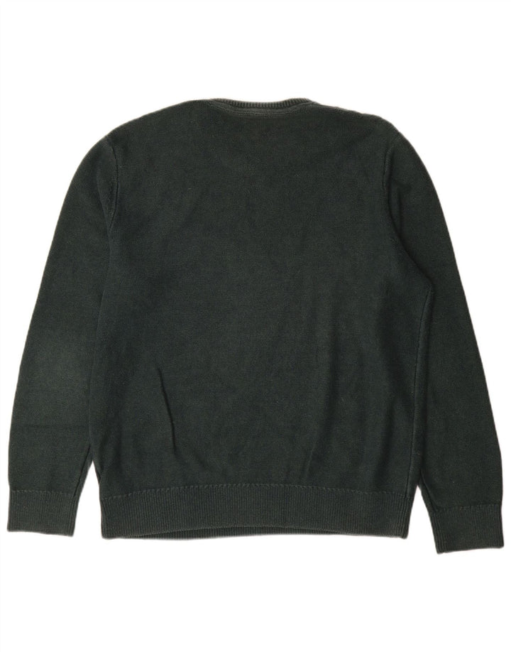 Męski sweter Gap z okrągłym dekoltem, duży, zielony, bawełniany