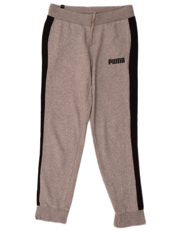 Męskie spodnie dresowe Puma Joggers Small Grey Colorblock