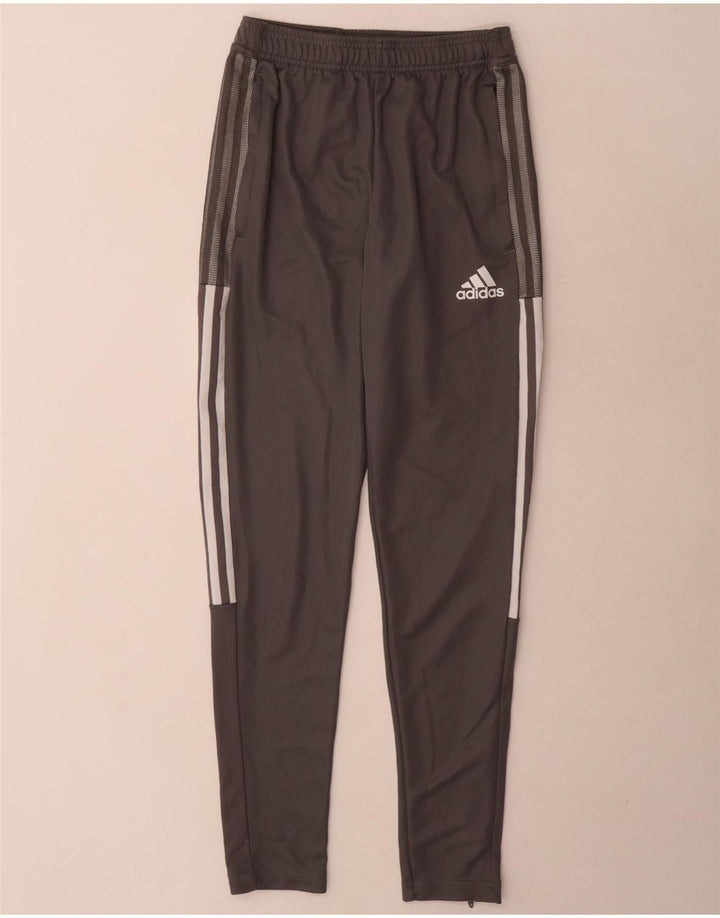 Męskie spodnie dresowe Adidas Aeroready XS Szary poliester