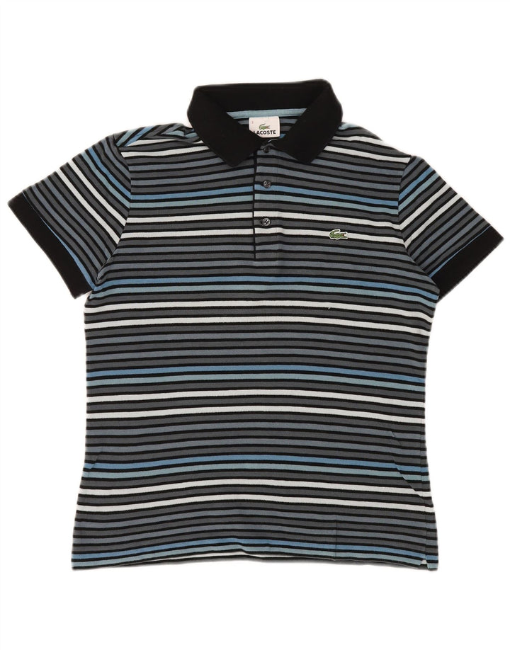 Męska koszulka polo Lacoste, rozmiar 3, mała, szara, bawełniana w paski