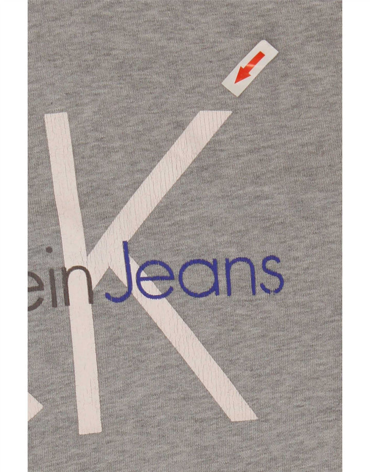 Męski sweter z kapturem i grafiką Calvin Klein Jeans, średnio szary