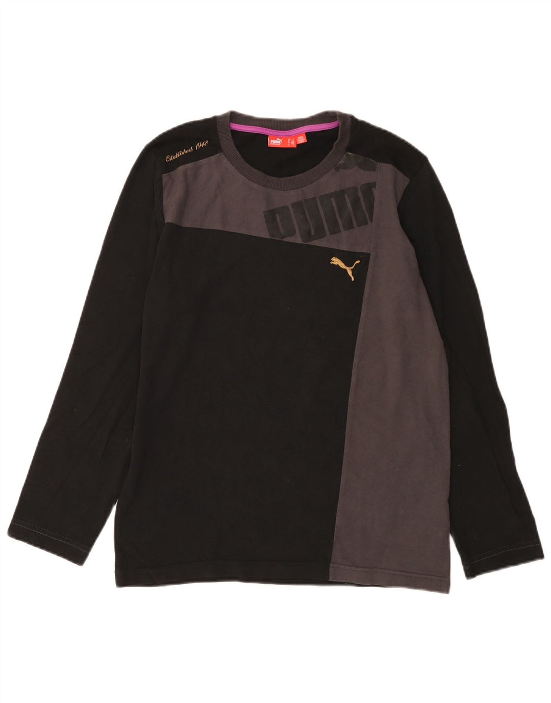 Męska koszulka Puma z grafiką, długim rękawem, mała, czarna, z blokami kolorów, bawełniana
