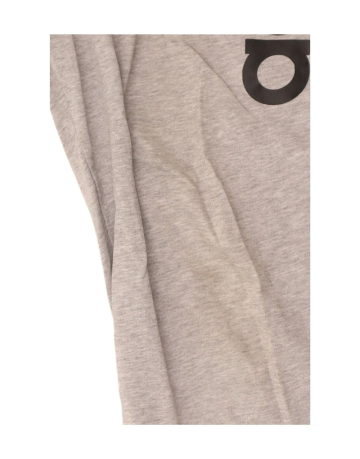 Męskie spodnie dresowe Adidas Graphic, duże, szare