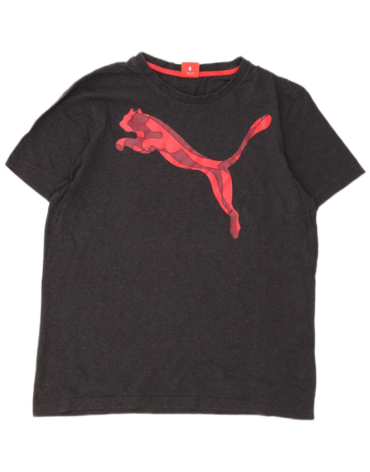 Męski T-shirt z grafiką PUMA, duży, szary, bawełniany