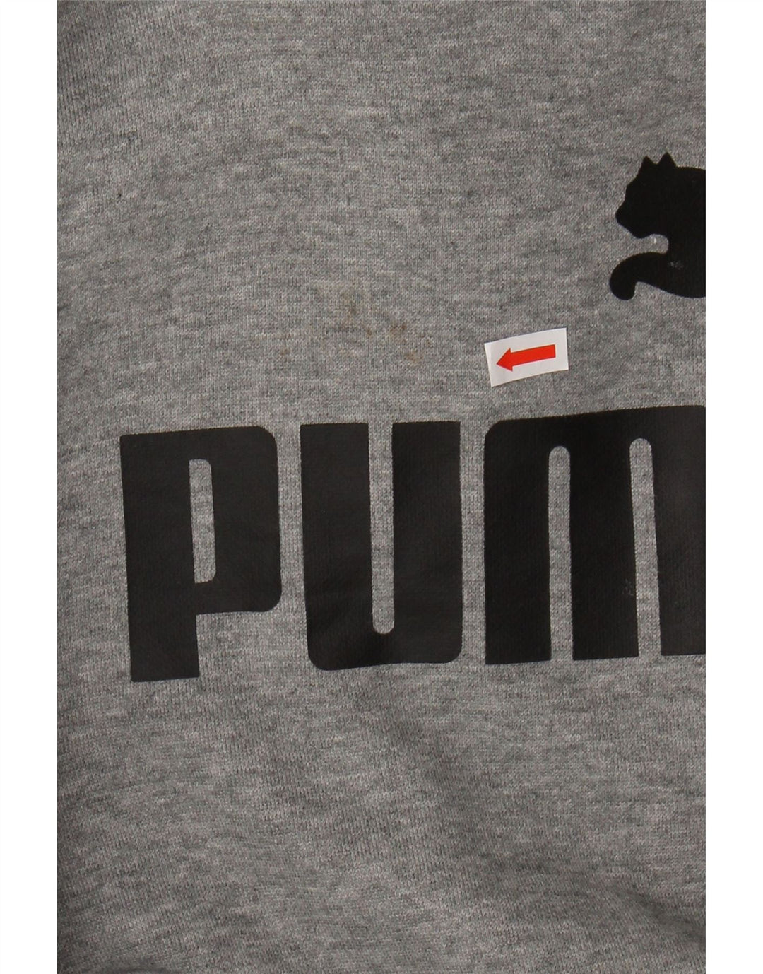 Chłopięcy sweter z kapturem i grafiką PUMA, 9-10 lat, szary