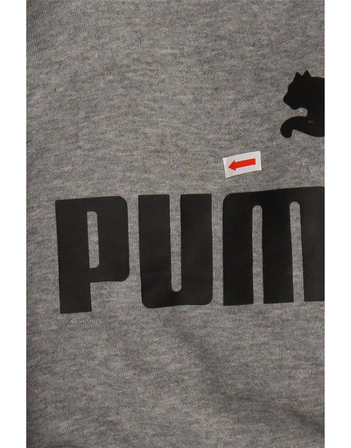 Chłopięcy sweter z kapturem i grafiką PUMA, 9-10 lat, szary