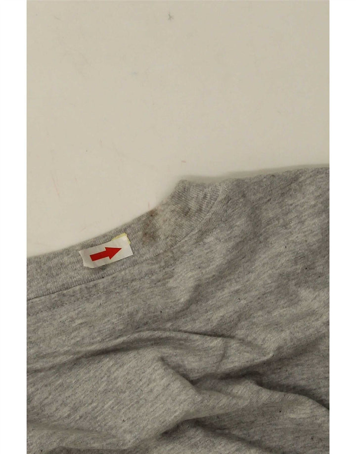 Męski T-shirt z grafiką Puma, duży, szary, bawełniany