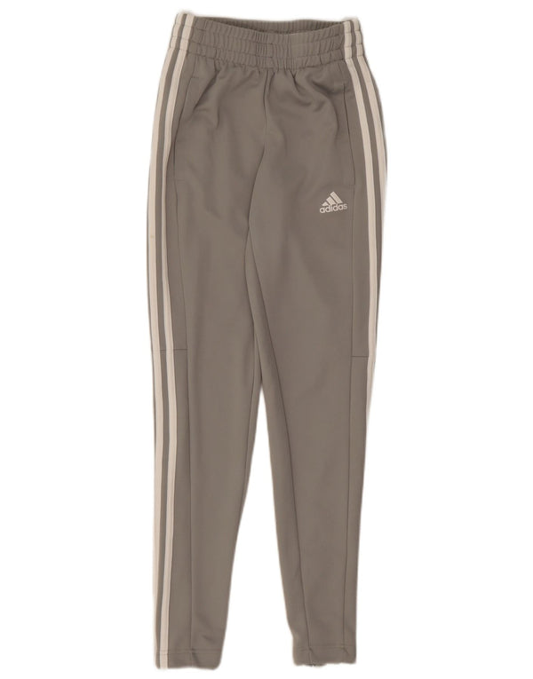 Damskie spodnie dresowe Adidas UK 0/2 2XS Szary poliester