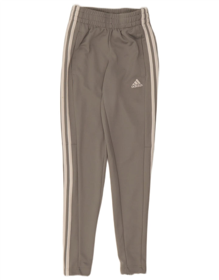 Damskie spodnie dresowe Adidas UK 0/2 2XS Szary poliester