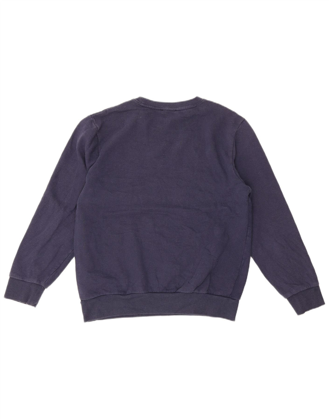 Męska bluza z grafiką True Religion, średnia, granatowa, bawełniana