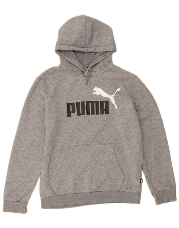 Męski sweter z kapturem Puma z grafiką, mały, szary, bawełniany