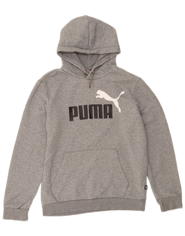Męski sweter z kapturem Puma z grafiką, mały, szary, bawełniany