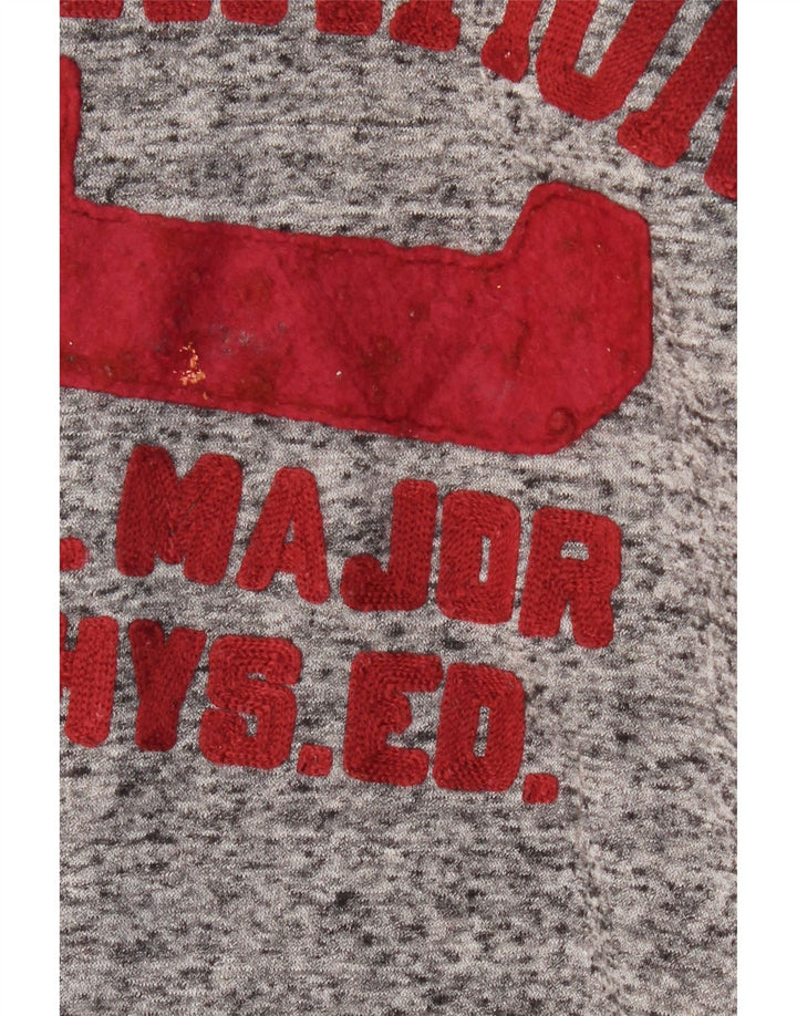 Męska bluza z grafiką CHAMPION, mała, szara, nakrapiana bawełna