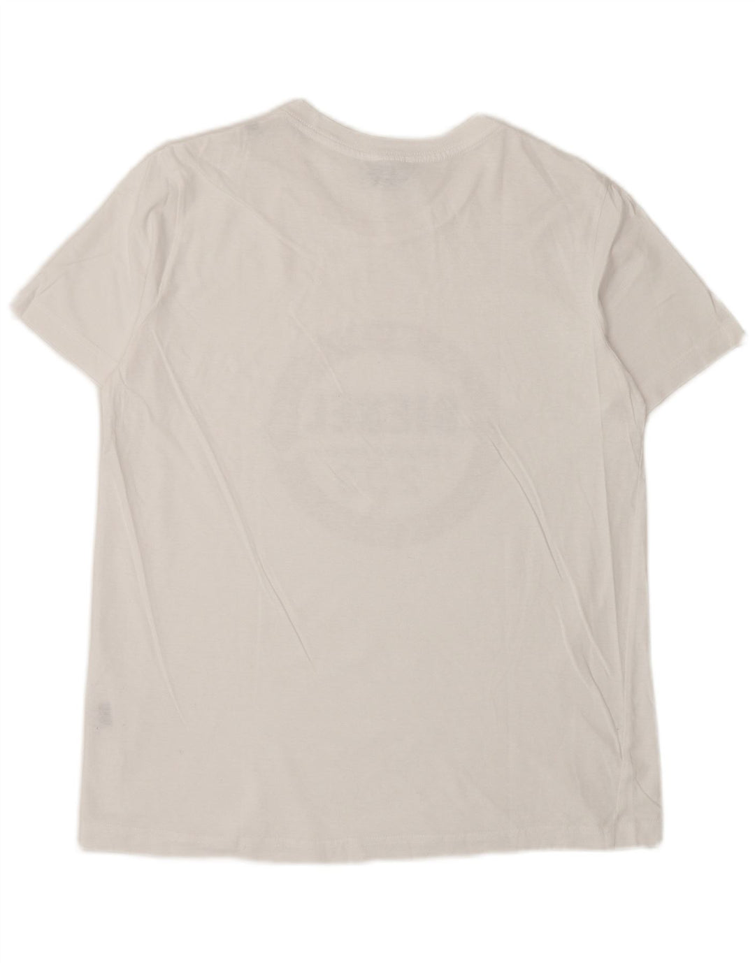 Męski T-shirt z grafiką DIESEL, średni biały
