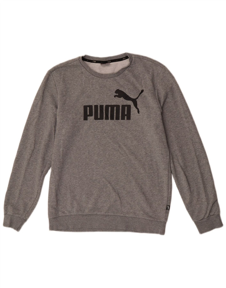 Męska bluza z grafiką Puma, duża, szara, bawełniana