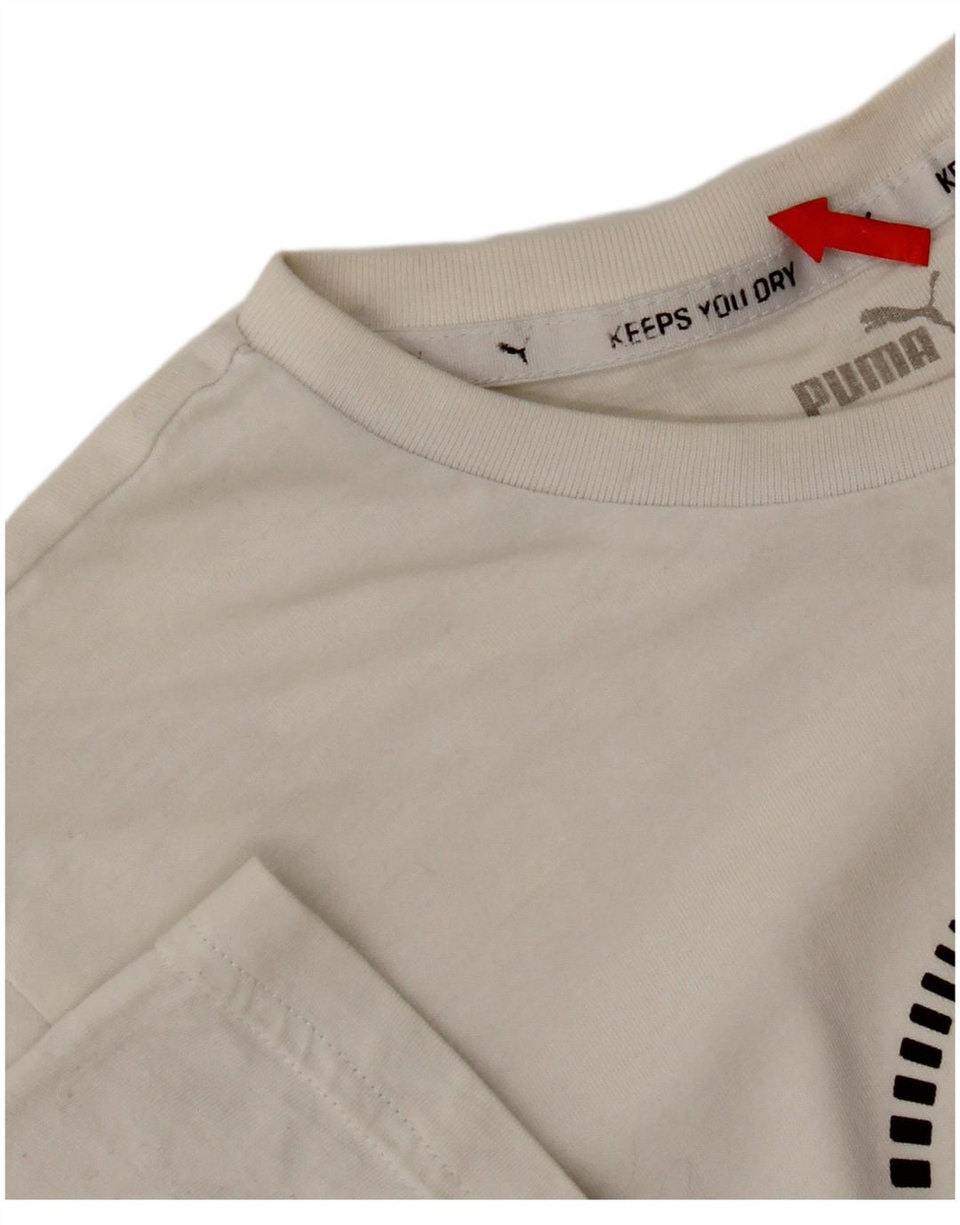 Chłopięcy T-shirt z grafiką Puma, 15-16 lat, biały