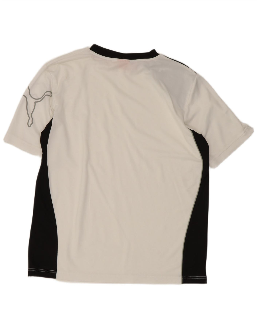 Męski T-shirt Puma z grafiką, mały, biały, z blokami kolorów