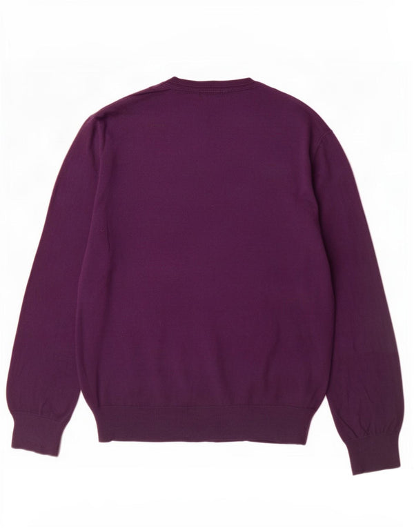 Gap Mens V-Neck Jumper Sweater XL Purple Cotton