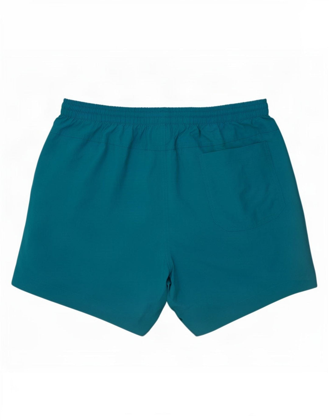 Męskie spodenki kąpielowe Speedo, średni niebieski nylon