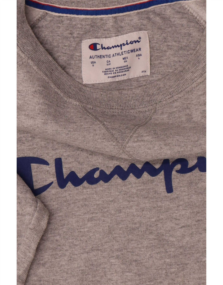Męski sweter z grafiką Champion, mały, szary, bawełniany
