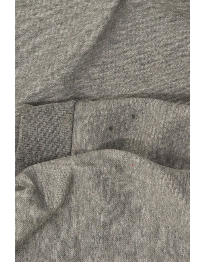 Męski sweter z kapturem Puma z grafiką, mały, szary, bawełniany