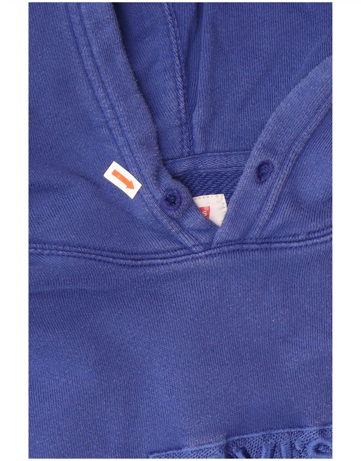 Męski sweter z kapturem i grafiką Levi's, średnioniebieski, bawełniany