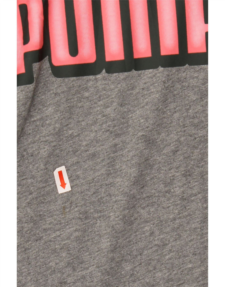 Męski T-shirt z grafiką PUMA, duży, szary