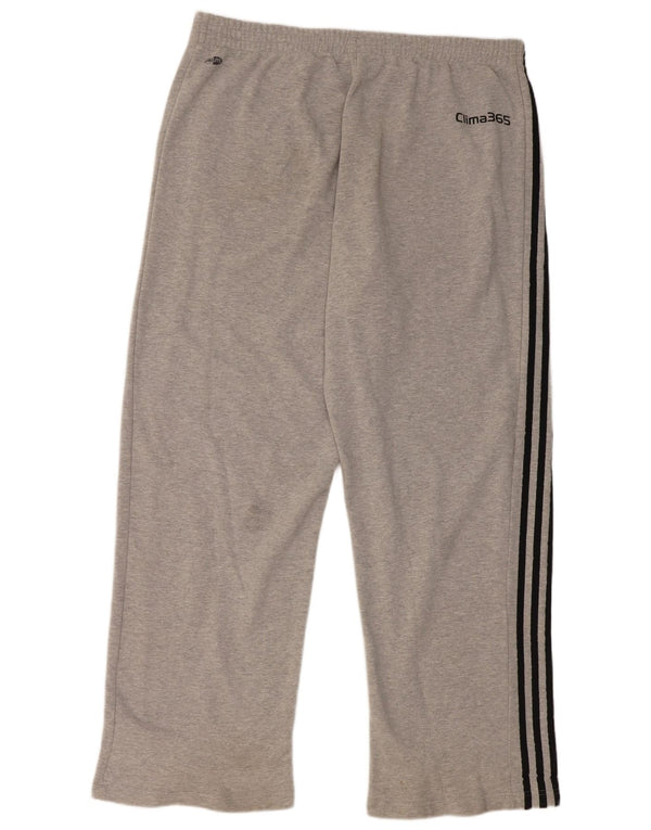Męskie spodnie dresowe Adidas 2XL Szara bawełna