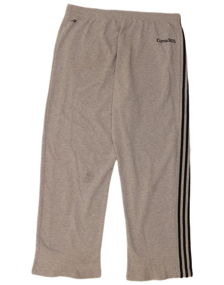 Męskie spodnie dresowe Adidas 2XL Szara bawełna
