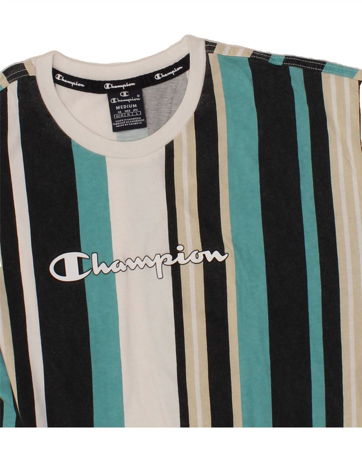 CHAMPION Mens Graphic T-Shirt Top Medium Multicoloured Striped Vintage Champion and Second-Hand Champion from Messina Hembry 