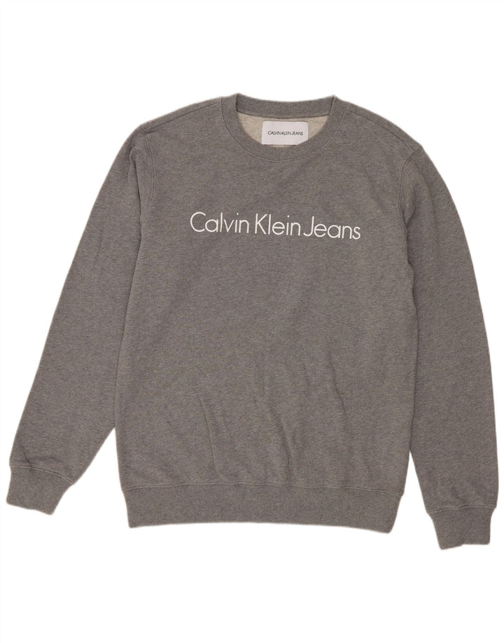 Męska bluza z grafiką Calvin Klein Jeans, średnioszara, bawełniana