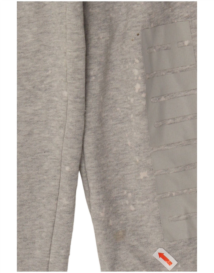 Damskie spodnie dresowe PUMA Joggers UK 10 Small Grey