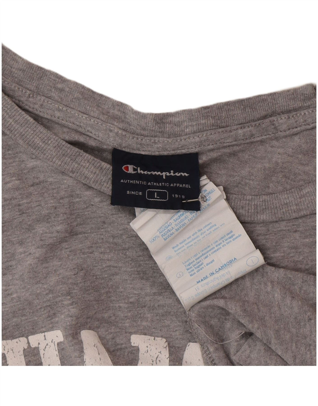Męski T-shirt Champion Rochester z grafiką, duży, szary, bawełniany