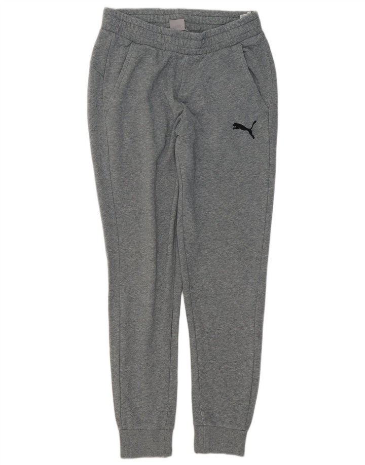 Męskie spodnie dresowe Puma Joggers, średnioszare, bawełniane