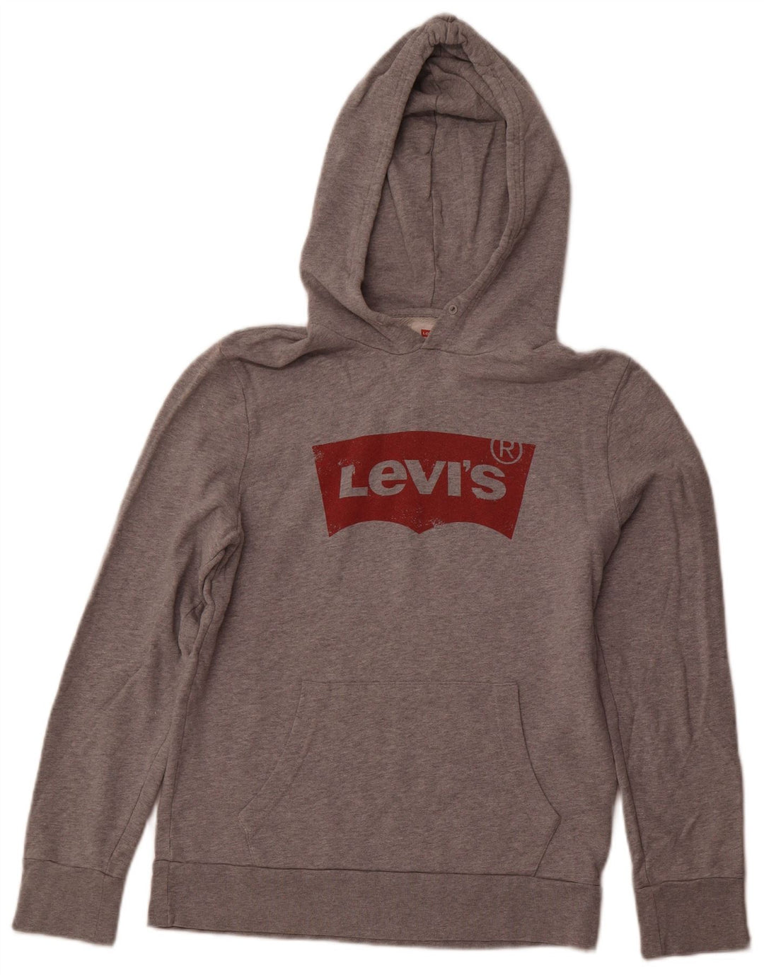 Męski sweter z kapturem i grafiką Levi's, mały, szary, bawełniany