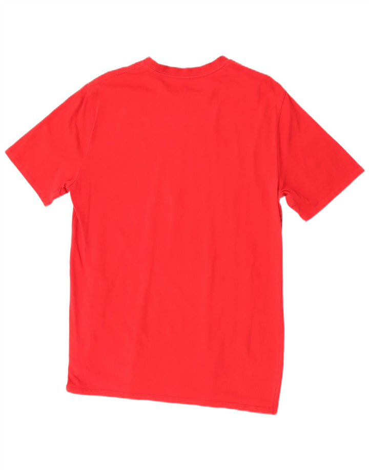Męski T-shirt z grafiką Calvin Klein, mały, czerwony, bawełniany