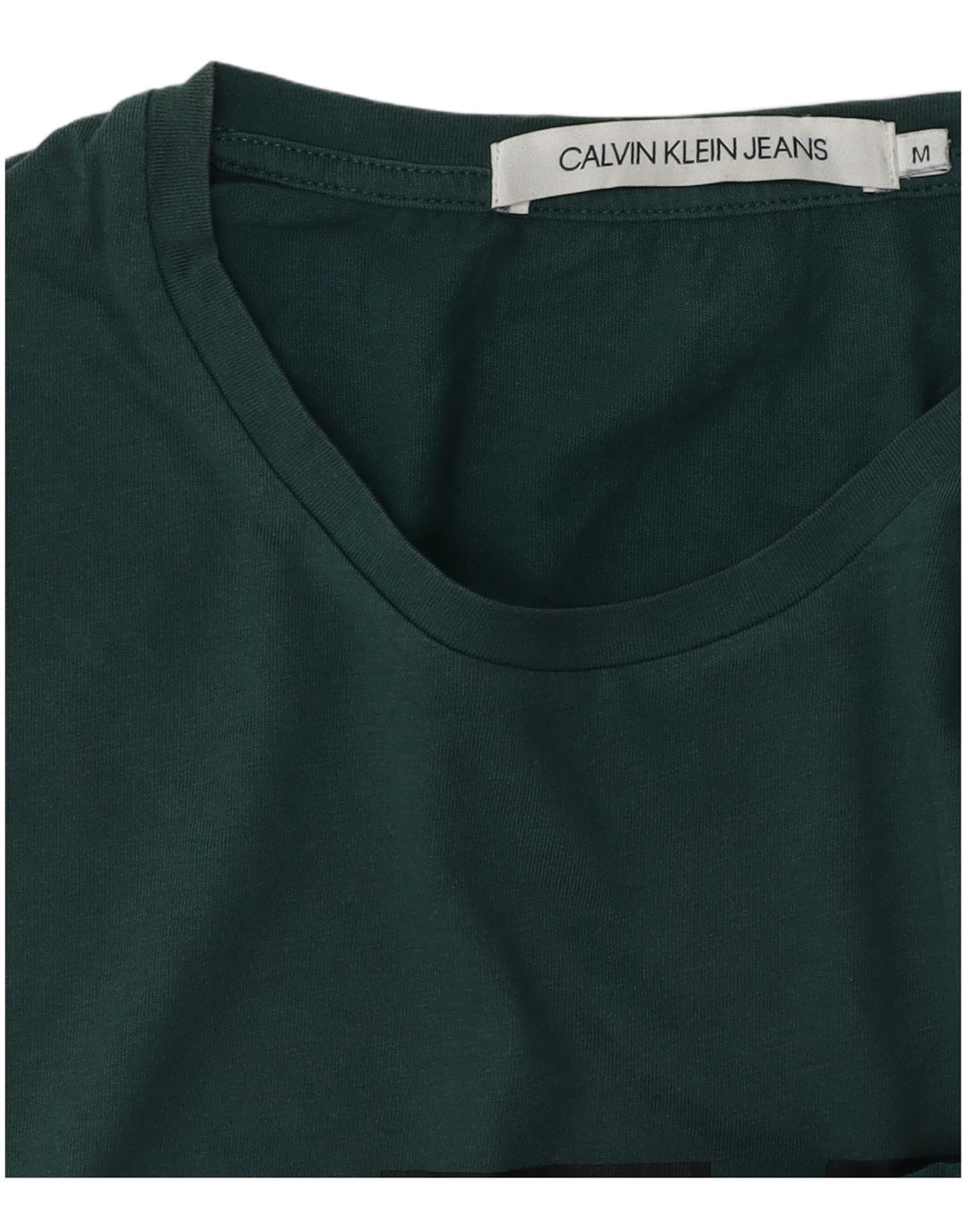 Męski T-shirt z grafiką CALVIN KLEIN JEANS, średni zielony