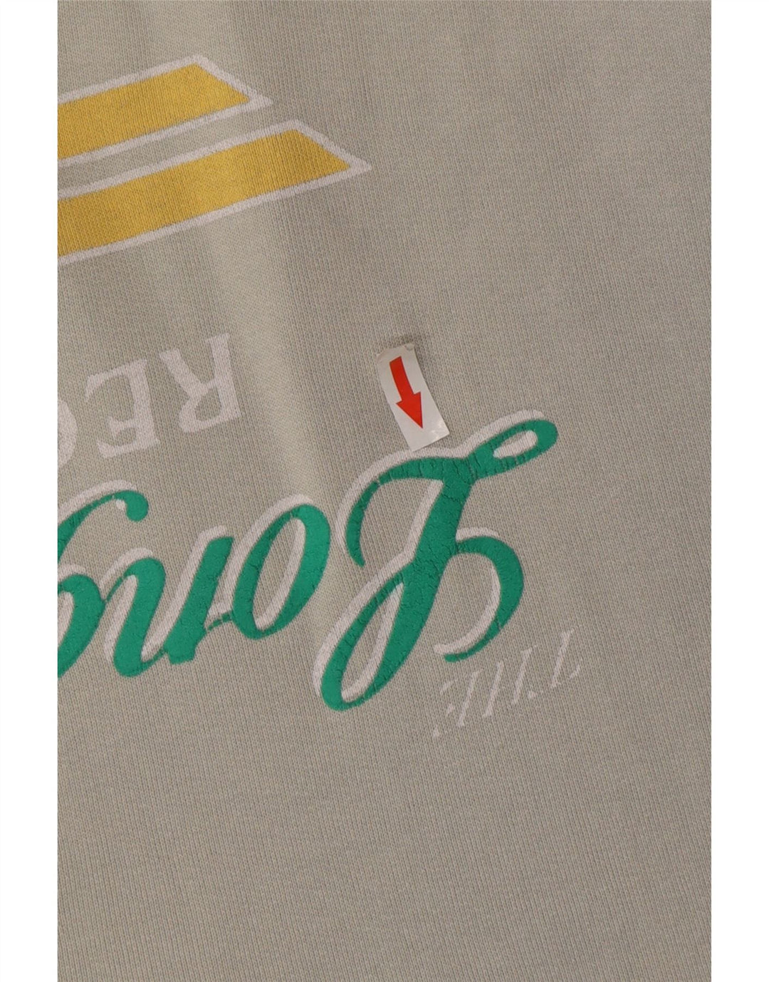 Męska bluza z grafiką RIFLE, duża, szara, bawełniana